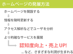 ホームページの発展方法